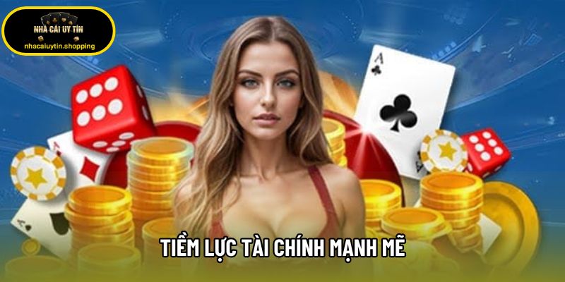 Tiềm lực tài chính mạnh mẽ